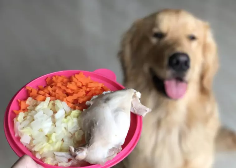 ¿Es bueno el pollo para los perros?