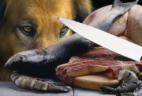 ¿Pueden los perros comer pescado crudo?